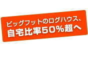 �r�b�O�t�b�g�̃��O�n�E�X�A����䗦50������