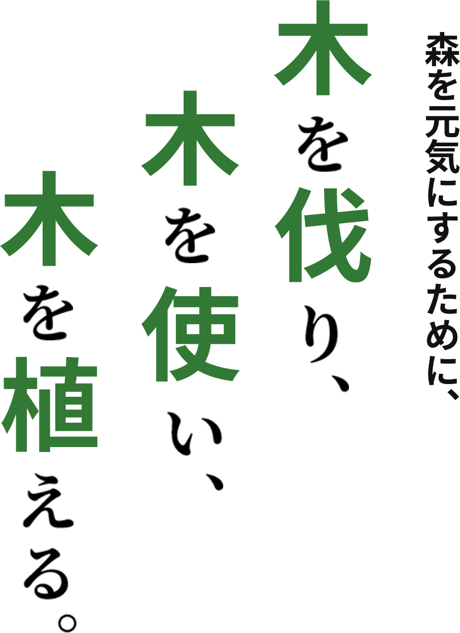 森を元気にするために、森を伐り、森を使い、木を植える。