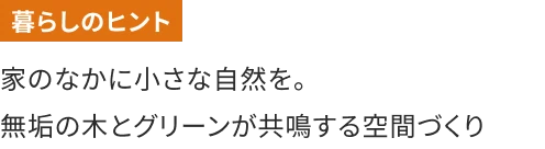 家のなかに小さな自然を。無垢の木とグリーンが共鳴する空間づくり