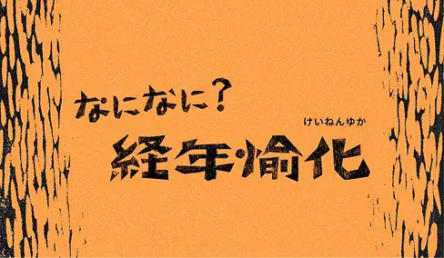 経年愉化
